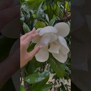 Медитация Любовь К Богу