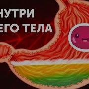 Они Всё Ходют И Ходют