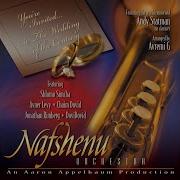Hora With Dovid Dovid Feat Dovid Dovid Nafshenu Singers Avremi G
