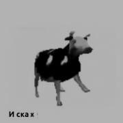Говновоз Польская Корова