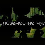 Меме Собрались На Одном Месте Все Чувства И Качества