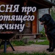 Песня Про Работящего Мужчину