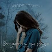 Затуманила Ты Разум Remix Андрей Таныч