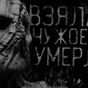 Бегемот Кот Старые