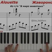 В Мире Животных Пианино