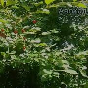 Как Я Провожу Свое Утро