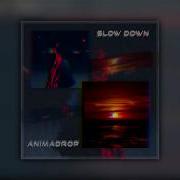 Slow Down Animadrop