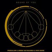 Sound Of You Pendulum