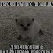 Ты Очень Много Говоришь Для Человека С Поджигаемой Квартирой