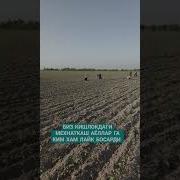 Мехнаткаш