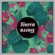 Sierra Sierra Reggaeton Instrumental Supersax Radio Edit Sierra