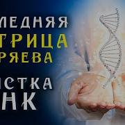 Матрица Геряева Очищение Судьбы