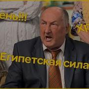 Воронины Сезон 20 Хрень И Египетская Сила