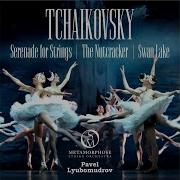 Swan Lake Op 20 Spanish Dance Metamorphose String Orchestra Pavel Lyubomudrov
