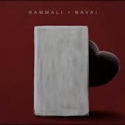 Прятки Hammali Navai