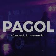 Dalip Shekhawat Pagol Slowed