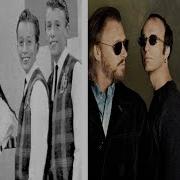 Bee Gees Evolution