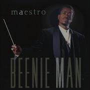 Maestro Beenie Man