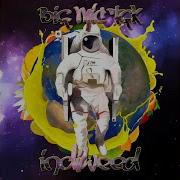 Big Mic Tgk Здравый Смысл