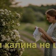 Слова Песни Коли Колина Не Цвела То Не Ламай Калину