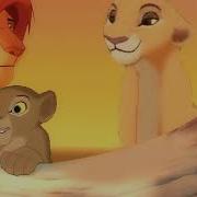 Kamikaze Simba X Kiara