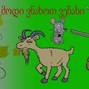 მოდი ვნახო ვენახი