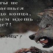 Освободился Михаил Блат