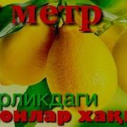 Лимон Етиштириш Бўйича