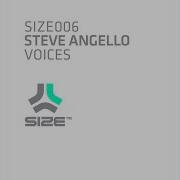 Voices Laidback Luke Remix Steve Angello