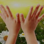 Ручки Хлопают Стучат Свитова Скачать