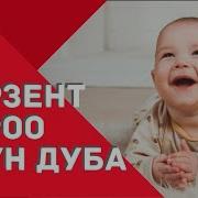 Перзент Суроо Үчүн Окулуучу Дуба