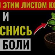 На Колени Я Встаю