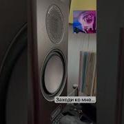 Заходи Ко Мне Попьем Пива