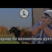 Дилноза Каримова Дар Мехмони Хандинкамон