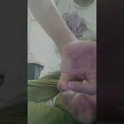 Сосут Хуй Девушка Ебет Брата