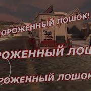 Мороженый Лошок