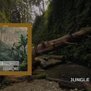 Sandstrm Jungle Shakedown