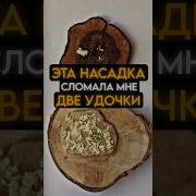 Как Рыбаки Ломают Удочки На Рыбалке