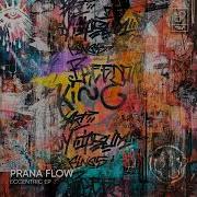 Prana Flow Eccentric Extended Mix