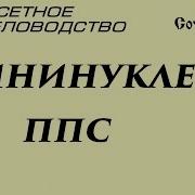 Мининуклес Из Ппс Своими Руками