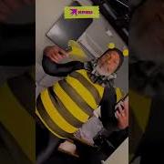Порхаешь Ты Красивой Бабочкой Опять
