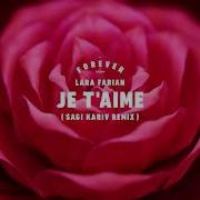 Lara Fabian Je T Aime Remix