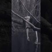 На Лето Такие Простые Надежды