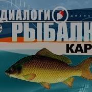 Разговоры О Рыбалке Канал