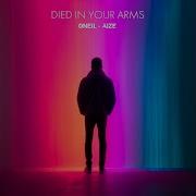 Died In Your Arms Oneil Aize Died In Your Arms
