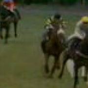 1996 Irish Hennessy Chase Last Two Fences Willibaldcornfed