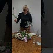 Отвели Полевые Все Цветы