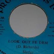 Sledge Look Out Fe Dem
