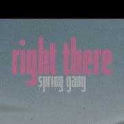 Spring Gang I Do It For The Music