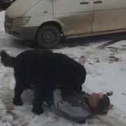 Тебя Чё Выебать Чтоли